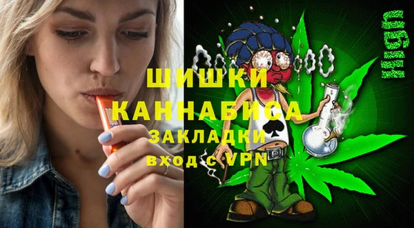 сатива Алзамай