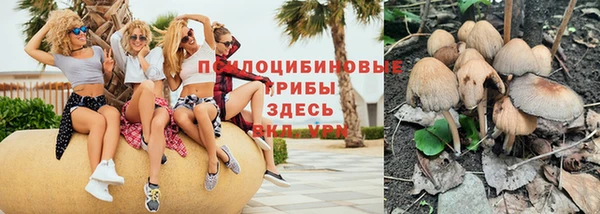 ешки Алексеевка