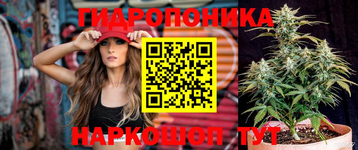 Каннабис план Новоуральск